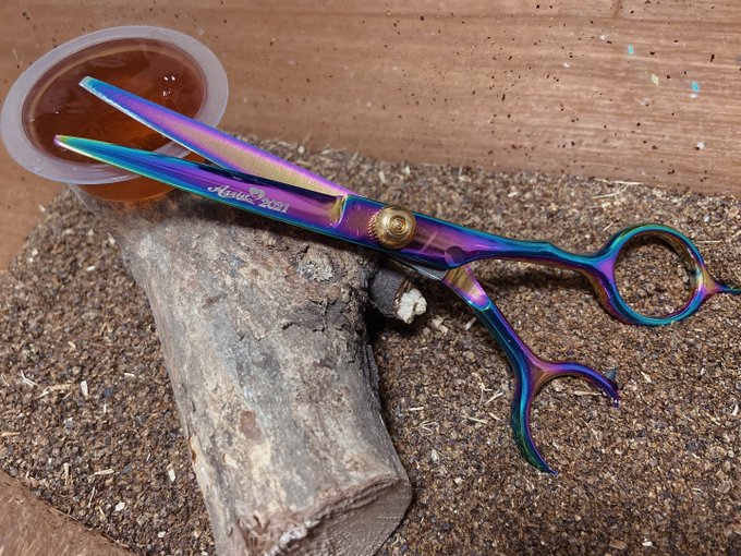 コスプレイヤーかんぱちのTwitter画像1