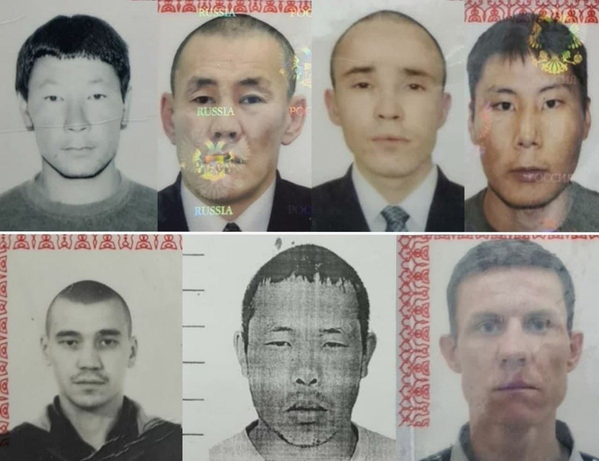 Семь сбежавших. Семь сбежавших. Nlc 7 контейнер в туманной чаще. Стив маккуин великий побег. Сбежавшая семерка дорама.