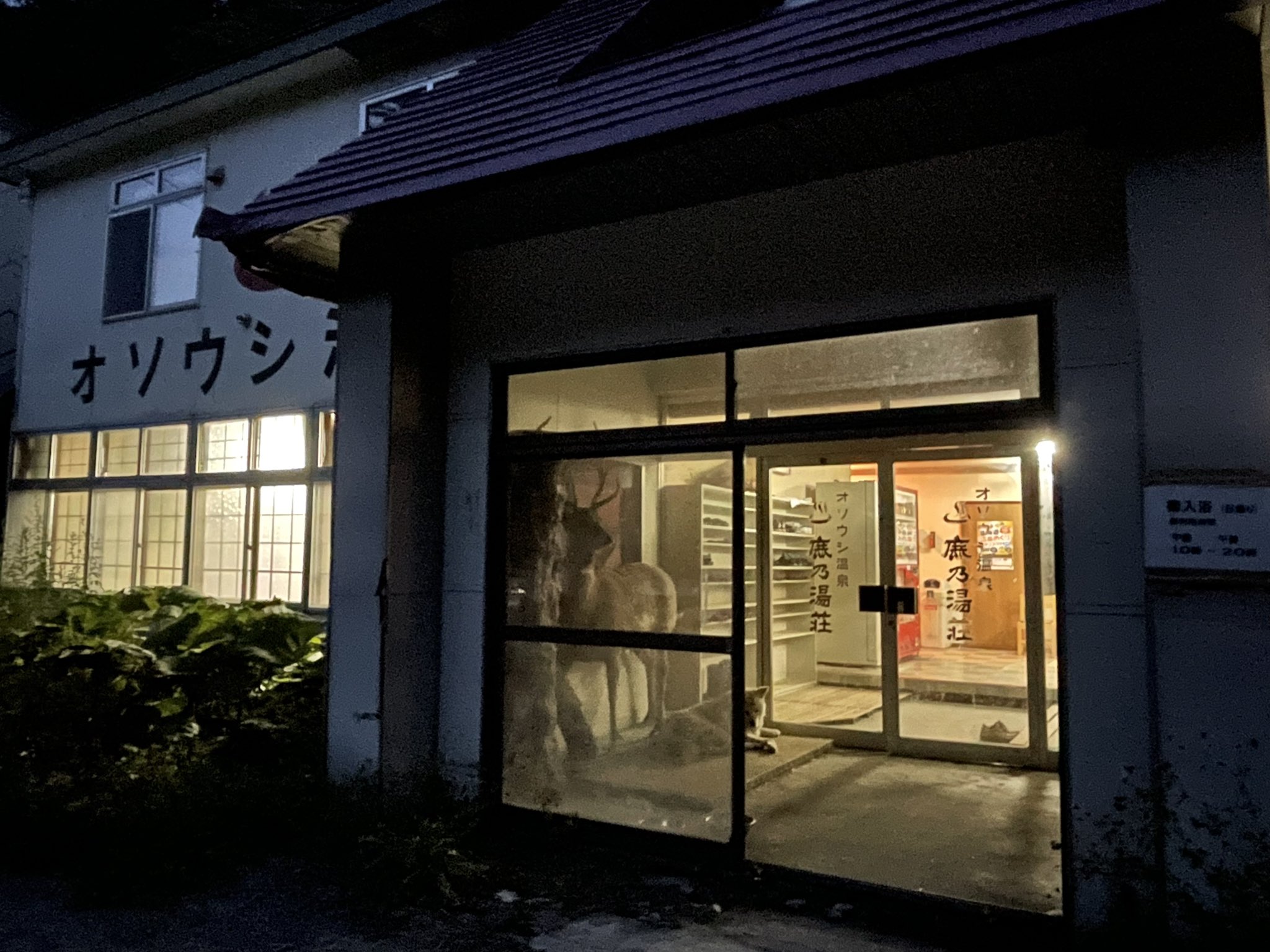 温泉のたまご オソウシ温泉に入ってきました ぬるぬる ですべすべになった けんちゃん 元気だったよ オソウシ温泉鹿乃湯荘 新得町 T Co Rjlhvog0dm Twitter 温泉のたまご オソウシ温泉に入ってきました ぬるぬる ですべすべになった けんちゃん 元気だったよ オソウシ温泉鹿乃湯荘 新得町 T Co Rjlhvog0dm Twitter