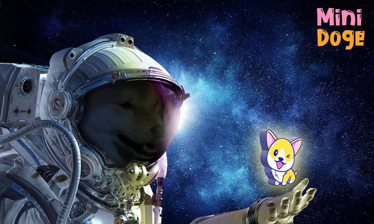 CBC_ph2021's tweet image. Why #minidoge because its unique tokenomics, with real use case and utilities. Soon to release the NFT game called #MINIPETS in which you will earn minidoge token while playing the game. Also available now to play the first release Minidoge crush.