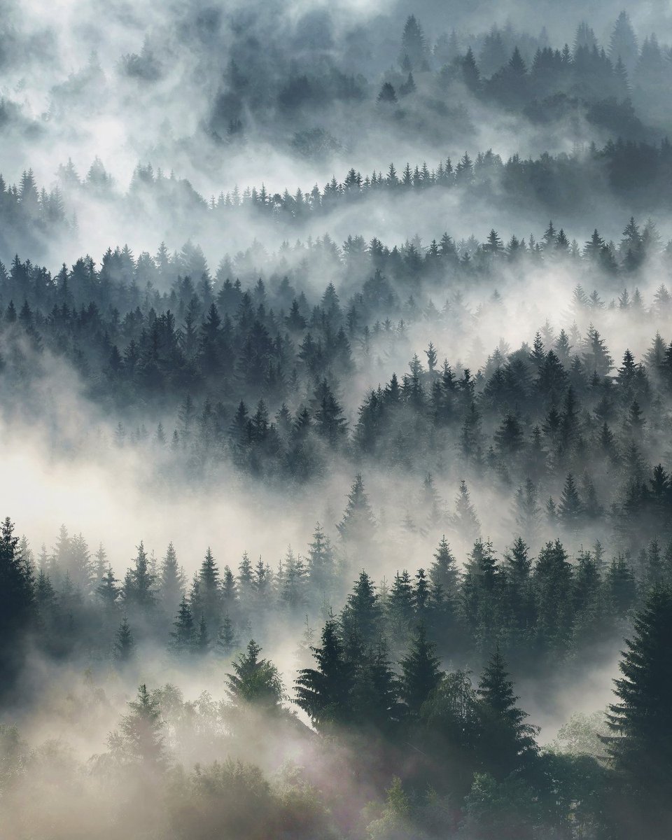 Schoenberger_K's tweet photo. Counting Trees.
Final Number was 427. Or did I miss one?
#landscapephotography #landschaftsfotografie https://t.co/ukzFp0kF9Y