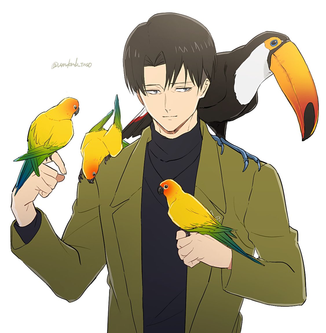 「🦜🦜🦜 」|昆布のイラスト