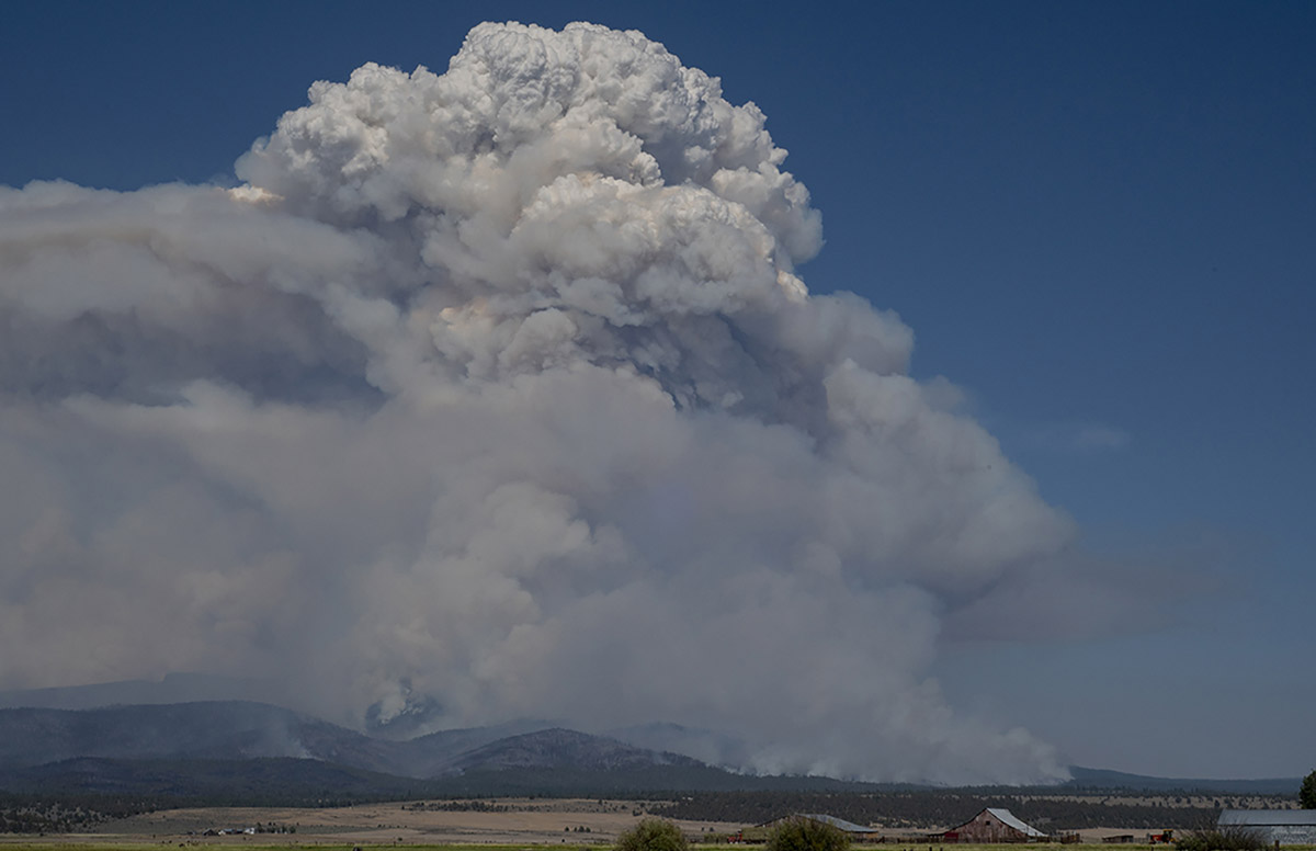 uoregon's tweet photo. Weekend Read: With multiple factors contributing to the growth of fire seasons, there is no one-size-fits-all answer to the question of how to live with fire — but UO experts are drawing from many different disciplines to offer ideas. https://t.co/8H7pQKJSOv https://t.co/CcdztooeuC