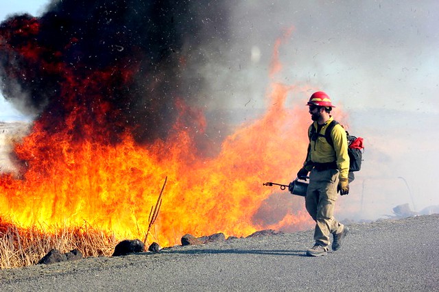 uoregon's tweet photo. Weekend Read: With multiple factors contributing to the growth of fire seasons, there is no one-size-fits-all answer to the question of how to live with fire — but UO experts are drawing from many different disciplines to offer ideas. https://t.co/8H7pQKJSOv https://t.co/CcdztooeuC