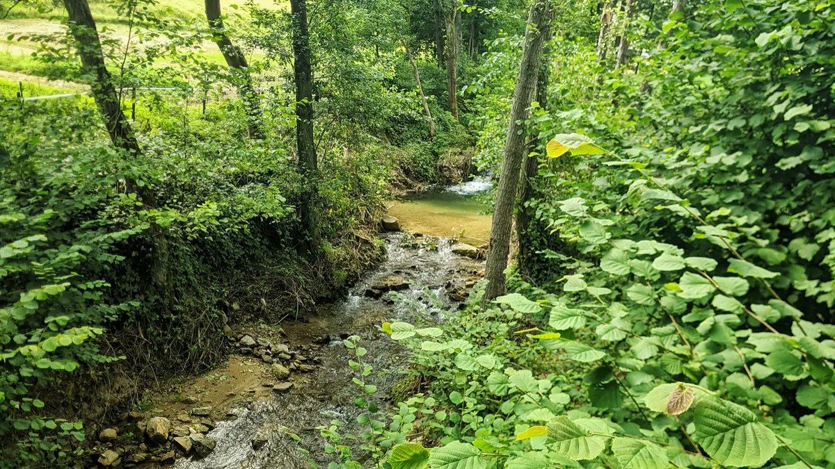 WalterStephanie's tweet photo. 53km of #vëlosummer from Wasserbillig to Eschternach, Rosport and the whole loop. There was forest, a cute lake, some Roman remains and one of the most amazing hotdogs I ever had 😁
#bike #bikeride #forestride #lake #eschternach @luxembourginfo https://t.co/uh34MBWHDg