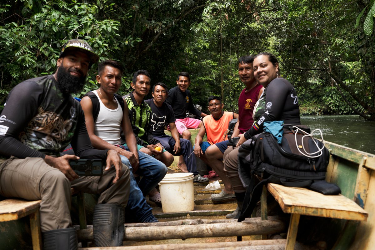 Futurefornature's tweet photo. #FFNwinner2020 María Fernanda Puerto-Carrillo, founder of @ProyectoSebraba, has been on a scientific expedition in the Venezuelan Amazon rainforest! They ventured to a region they had not visited before to start a new project with the aim of monitoring the elusive jaguar🐈 https://t.co/exebYVXpNq