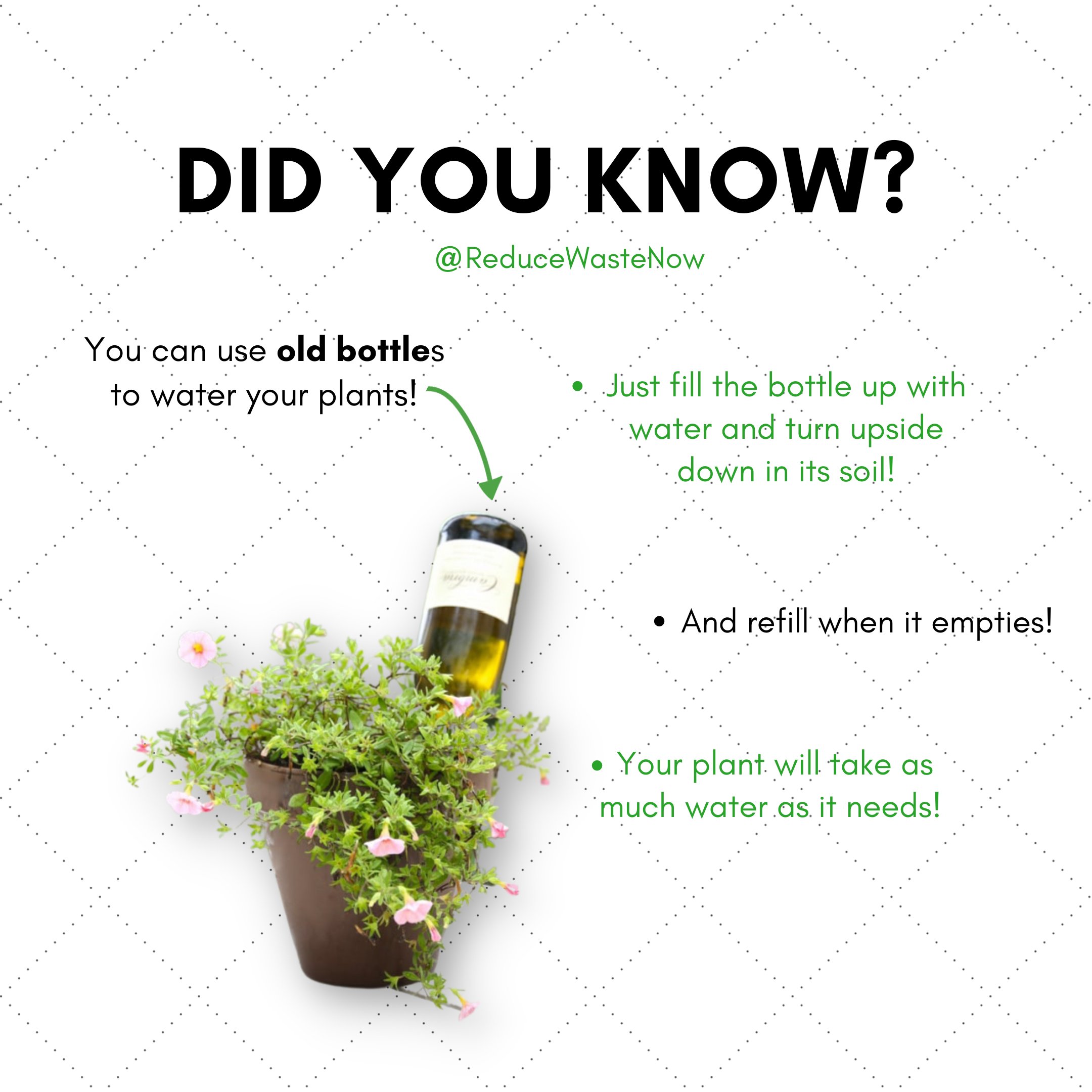 ReduceWasteNow on Twitter: "Whether going away for the weekend or are a forgetful plant-caretaker, this is a great way reuse your bottle/jugs and water your garden! 🌎 #zerowaste #plasticfree #