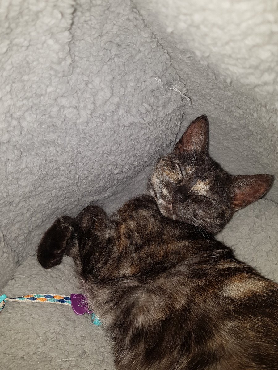 Happy Saturday! Ava says hello!