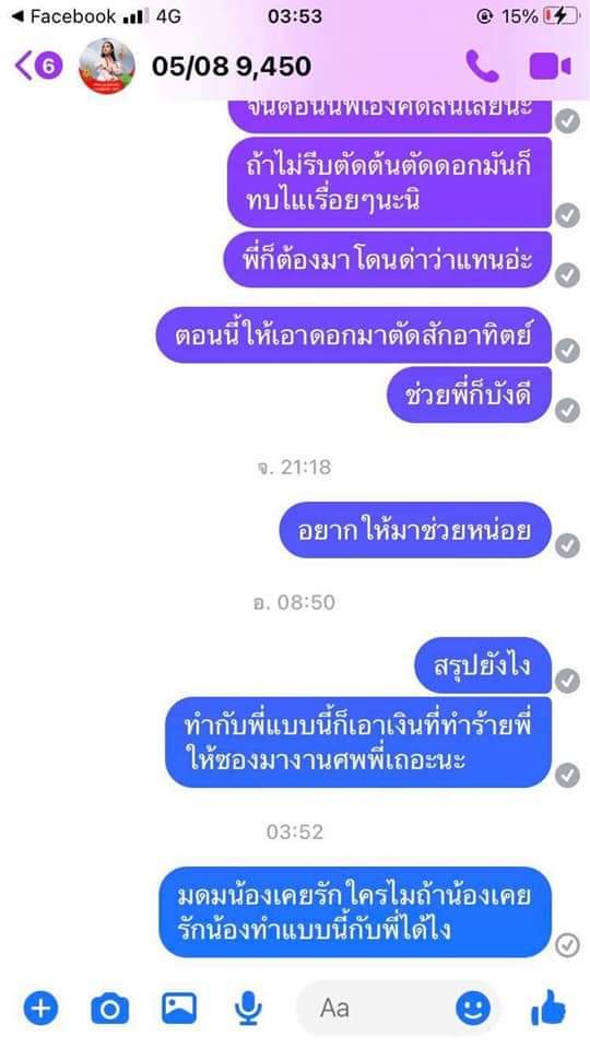 🎀P✨ tweet media
