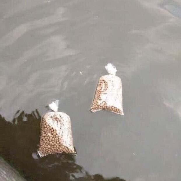 ซื้ออาหารมาให้แล้วค่ะคนดี มาทานเร็วคนเก่ง @jayzversq