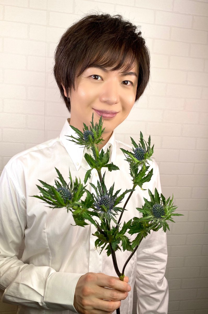 バンブーアイランドk エリンジウム オリオン 花言葉 は 光を求める ケニア 原産のとげとげブルー 仕事で疲れた体に宏くんの存在が光です 生配信ライブ何度も観て 明日は歌ｍａｘ楽しみです ひろネット 花言葉 プラハの橋