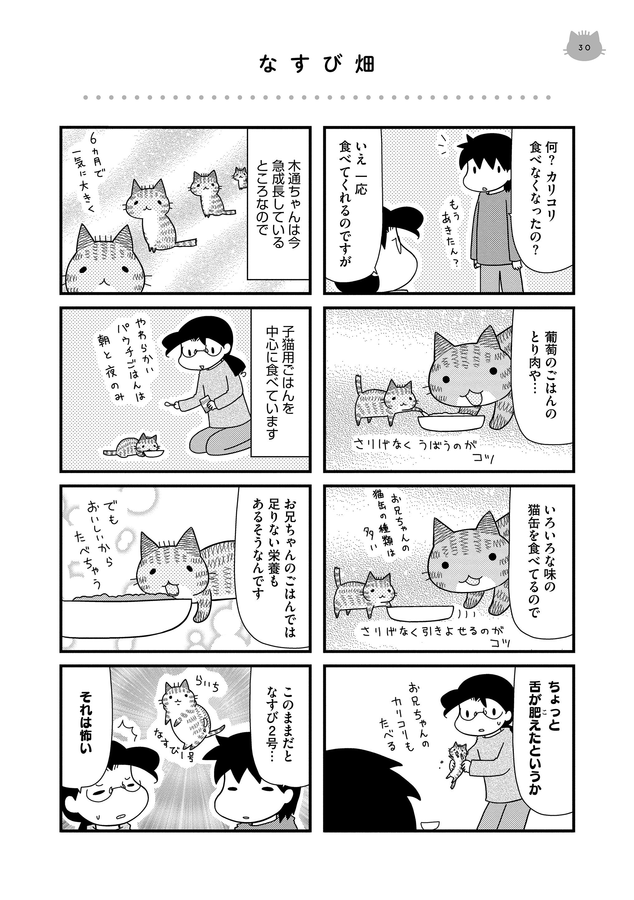 マンガよもんが 植えこみに刺さっていた子猫を飼うことにした 公開中 子猫を保護したら 少しずつ家での生活に慣れて 個性が出てきました 続きはこちらから T Co Hzbjdhvimc マンガよもんが 漫画 マンガ エッセイ 4コマ 猫