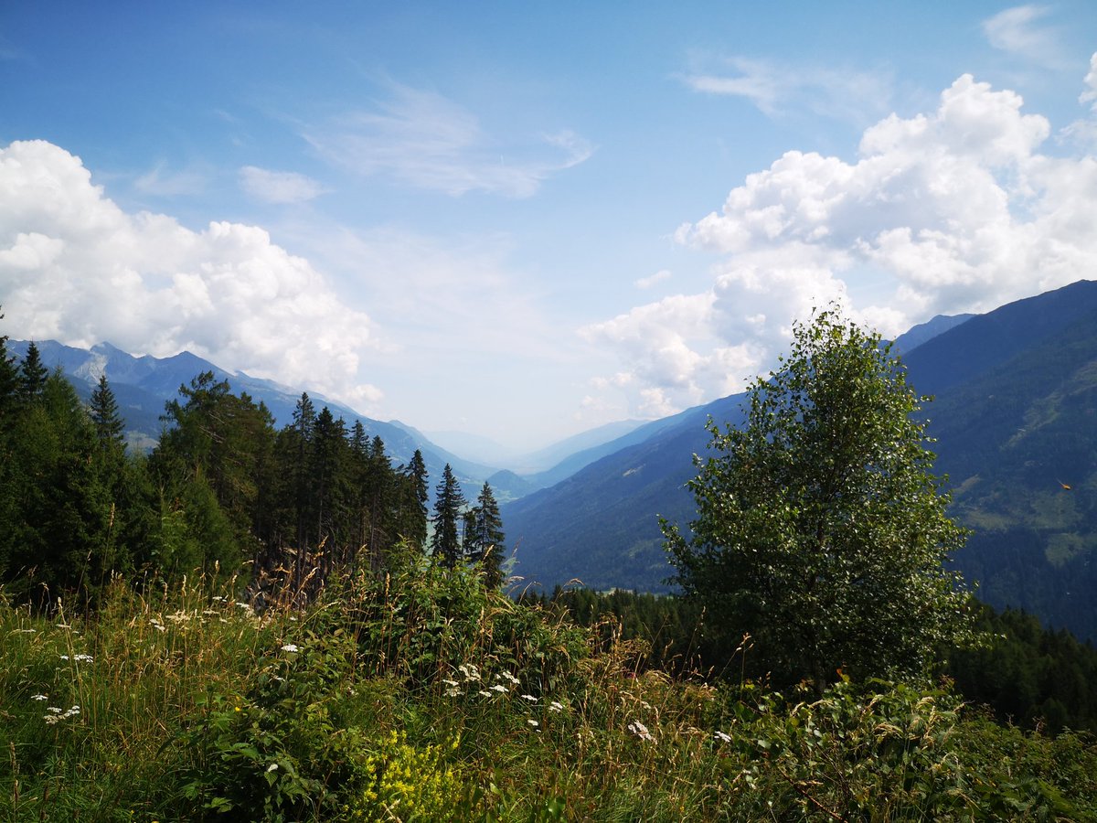 ZinvolReizen's tweet photo. Volop genieten!! Al een heel. Stuk gestegen en dus wordt je beloondet zulk uitzicht 🙏😍
#oostenrijk #flattach #Hiken #AlpeAdriaTrail https://t.co/xlj9QsSFmI