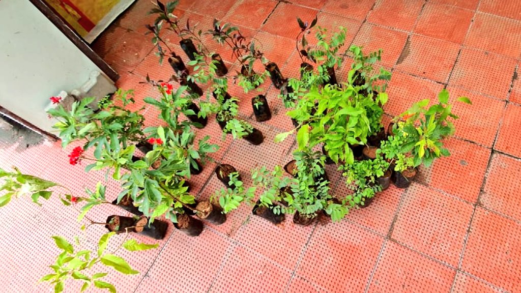 radikaasarathFC's tweet photo. We planted 59 plants for our @realradikaa 59th B'dy! We @radikaasarathFC are so hapy to start tis initiative frm tis year 21.8.21 wit immense pleasure of luv❤️ We Want to thk the contributors @RRBhuvana @jaishreeven1097 @drsundari2393 @Dhanam_joy @realSnehaShalu @DrKamali_Physio https://t.co/ULK9dvoThv
