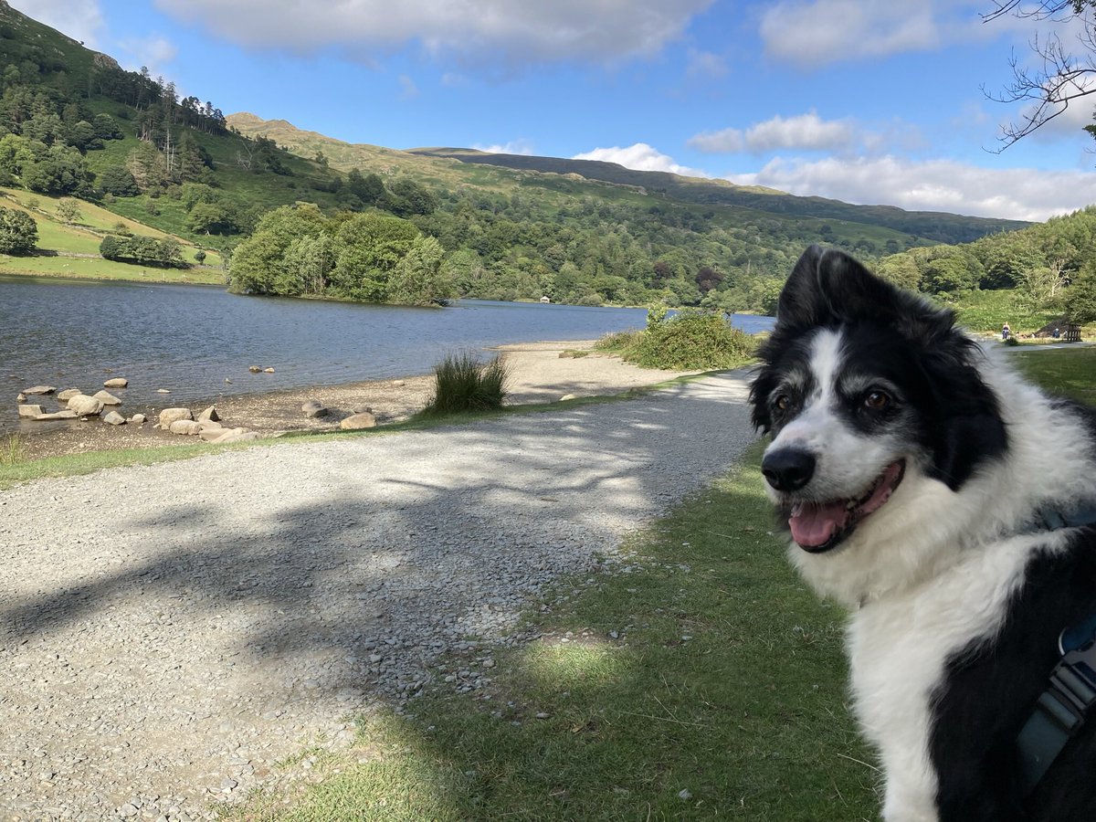 <a href="/sallyscottages/">Sally's Cottages</a> Fanks for an amazing stay, really struggled to leave this one #keswick