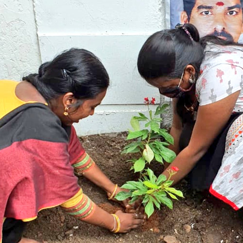 radikaasarathFC's tweet photo. We planted 59 plants for our @realradikaa 59th B'dy! We @radikaasarathFC are so hapy to start tis initiative frm tis year 21.8.21 wit immense pleasure of luv❤️ We Want to thk the contributors @RRBhuvana @jaishreeven1097 @drsundari2393 @Dhanam_joy @realSnehaShalu @DrKamali_Physio https://t.co/ULK9dvoThv