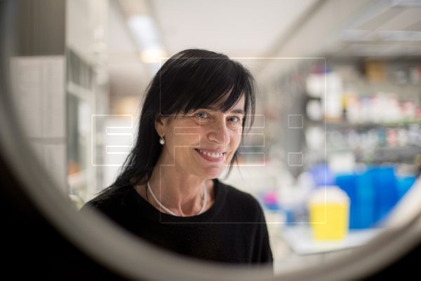 EFE LaFototeca tweet media