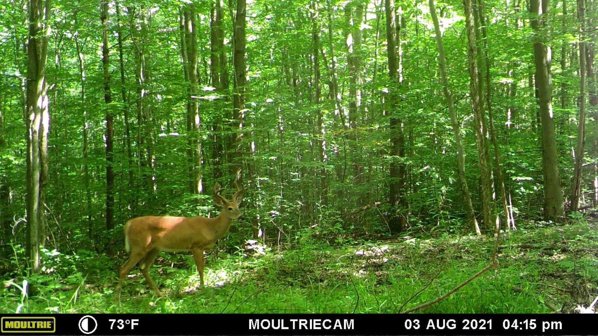 jdmacfarland's tweet photo. My favorite time of year ……. https://t.co/Ez06ZOf9Hz