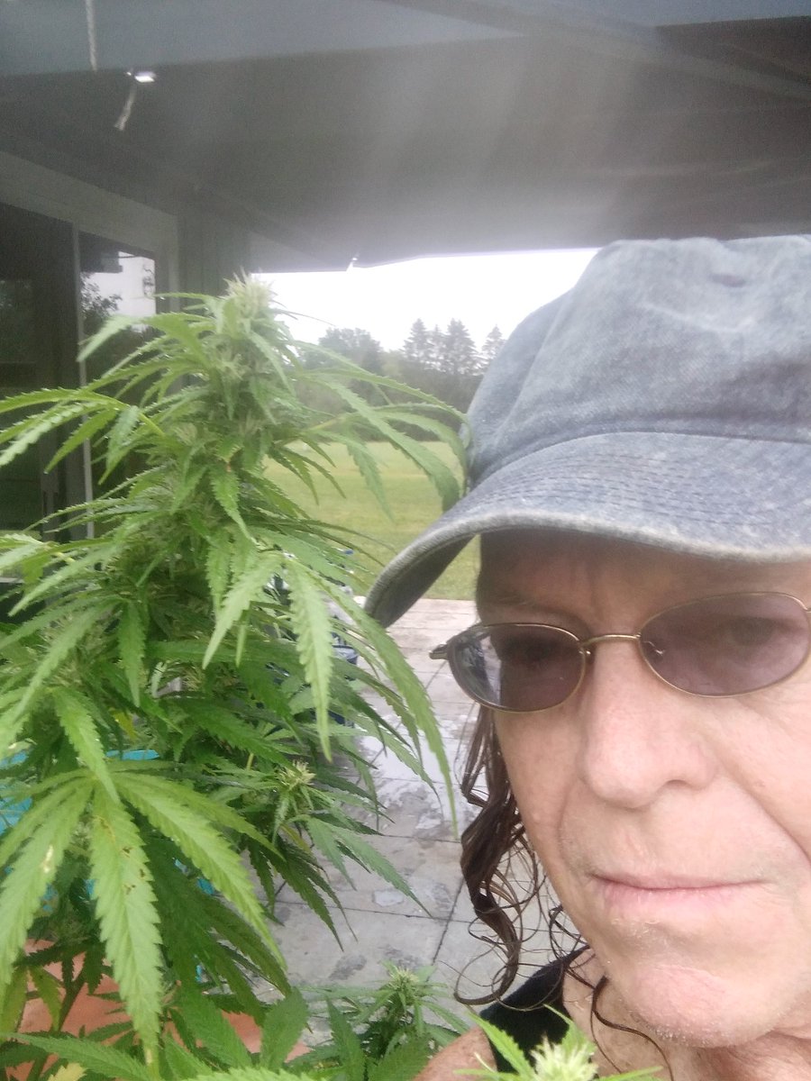 Mornin,Y'all,,Hillbilly Jim here.ever win the lottery? 5,10,,15 grand or so? I have,45yrs.strait.except wen cops found em,or got ripped off.Green Lotto,pays off every October!! Like Christmas! Encourage all,,join and play,,The Green Lotto! The payoffs,worth itPotRus