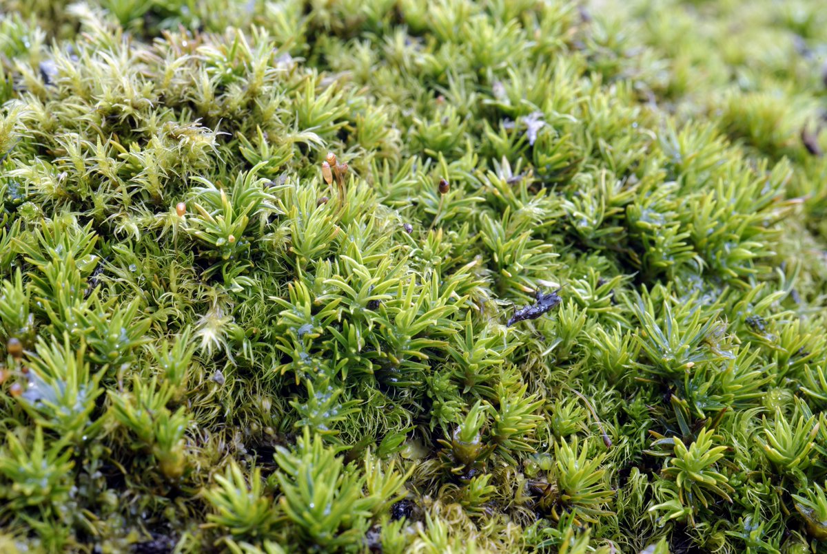 Neil Bell tweet media