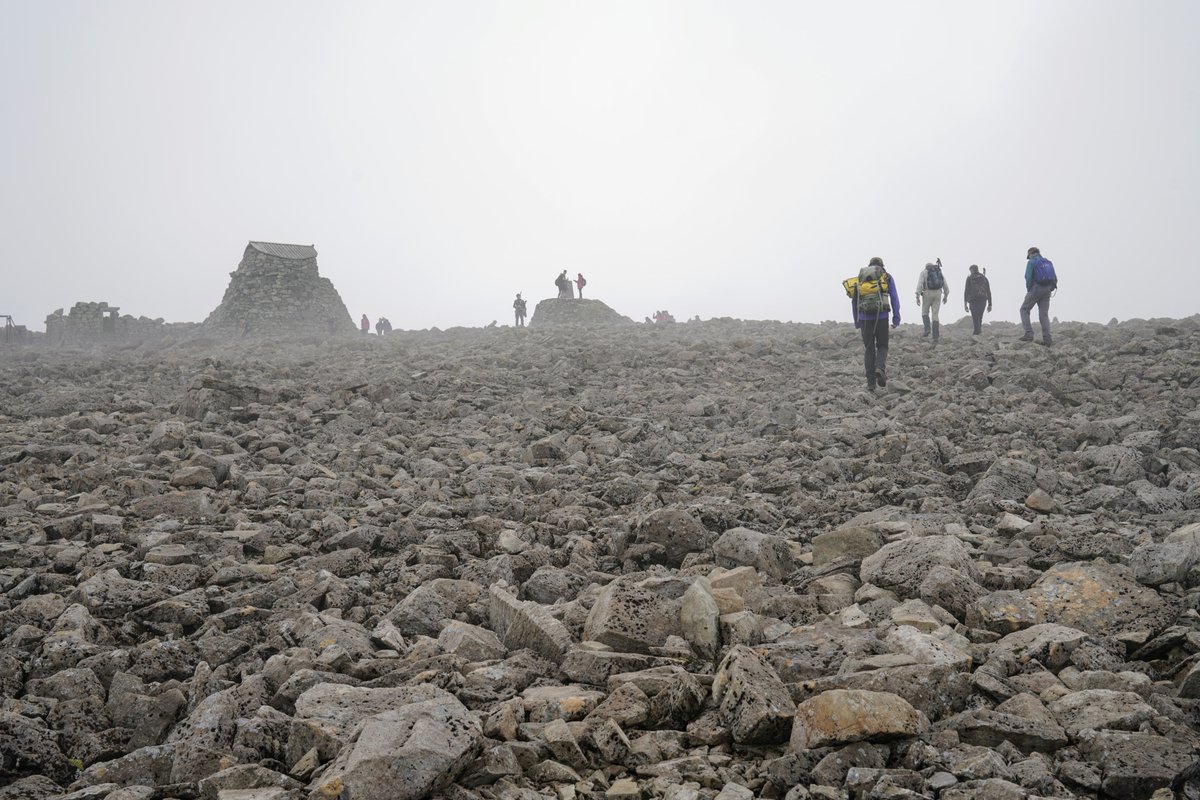 Neil Bell tweet media