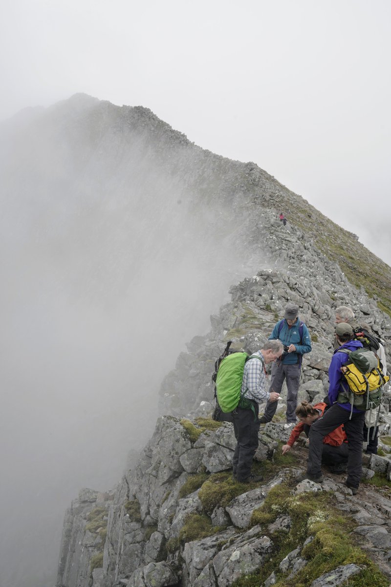 Neil Bell tweet media