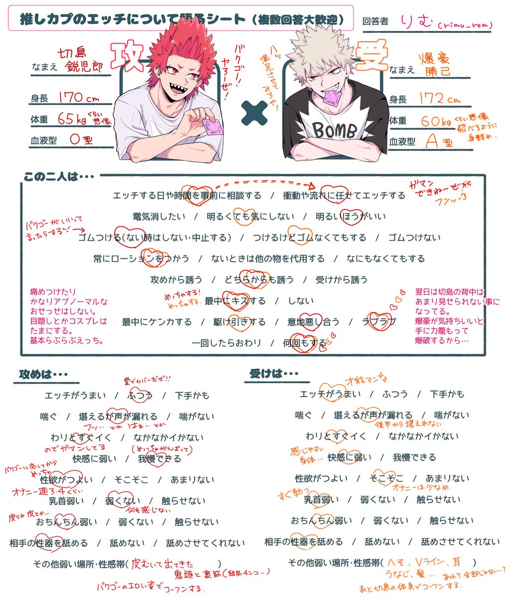 私的切爆のえっちシート 