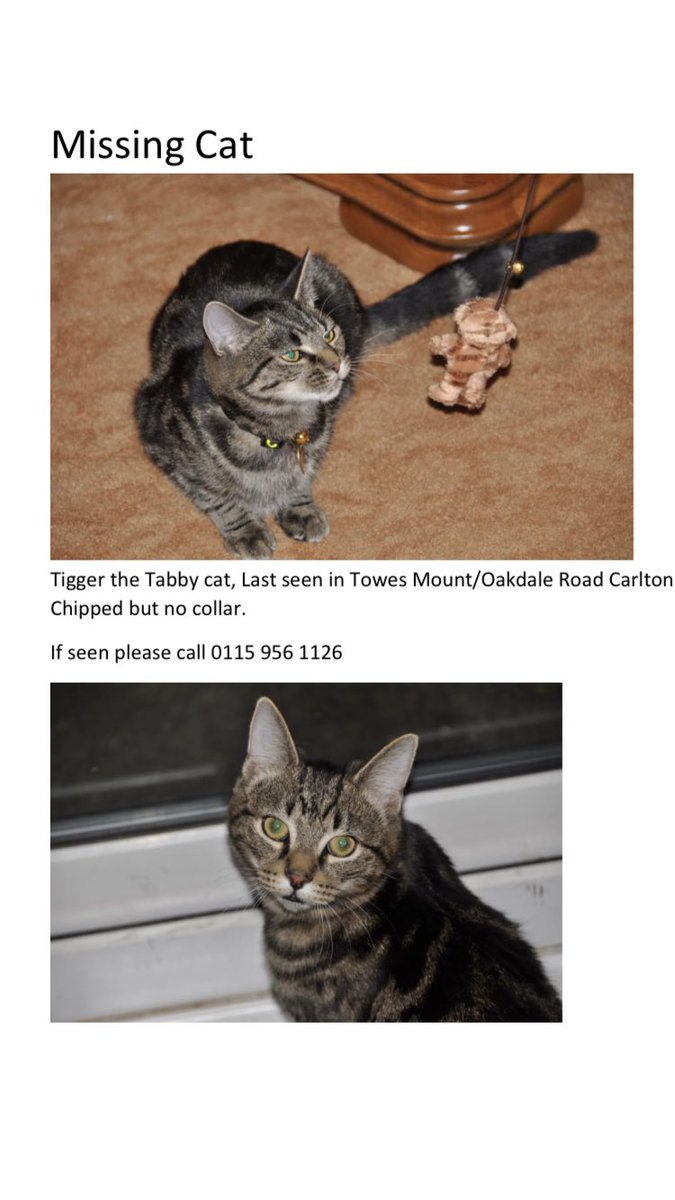 Oak House Vets tweet media