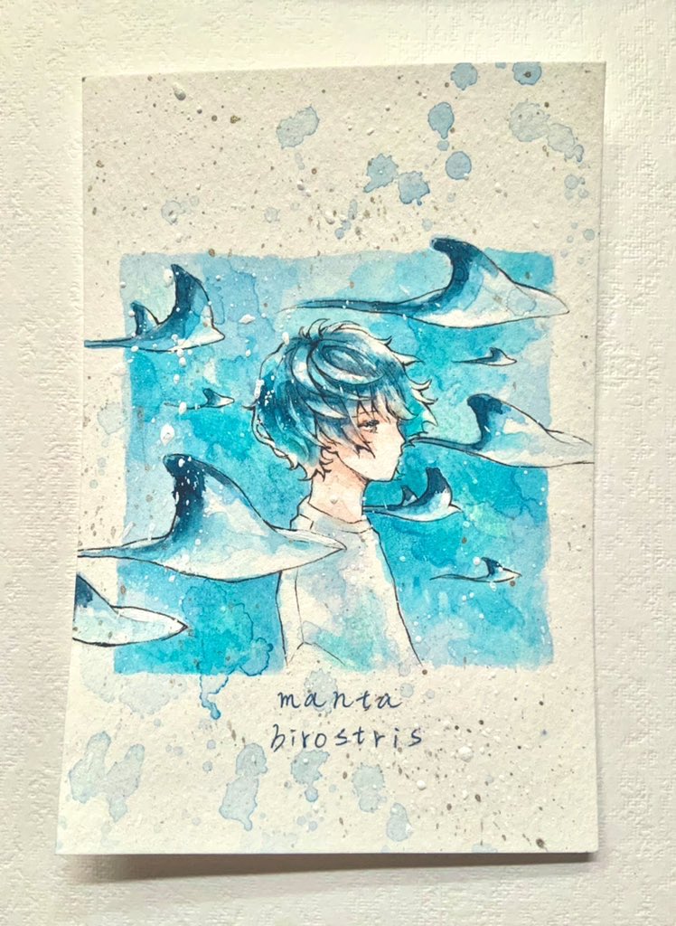 「青が好きです!
よろしくお願いします🐳

#絵描きさんとつながりたい 
#夏の」|あおたま▶︎デザフェス両日のイラスト