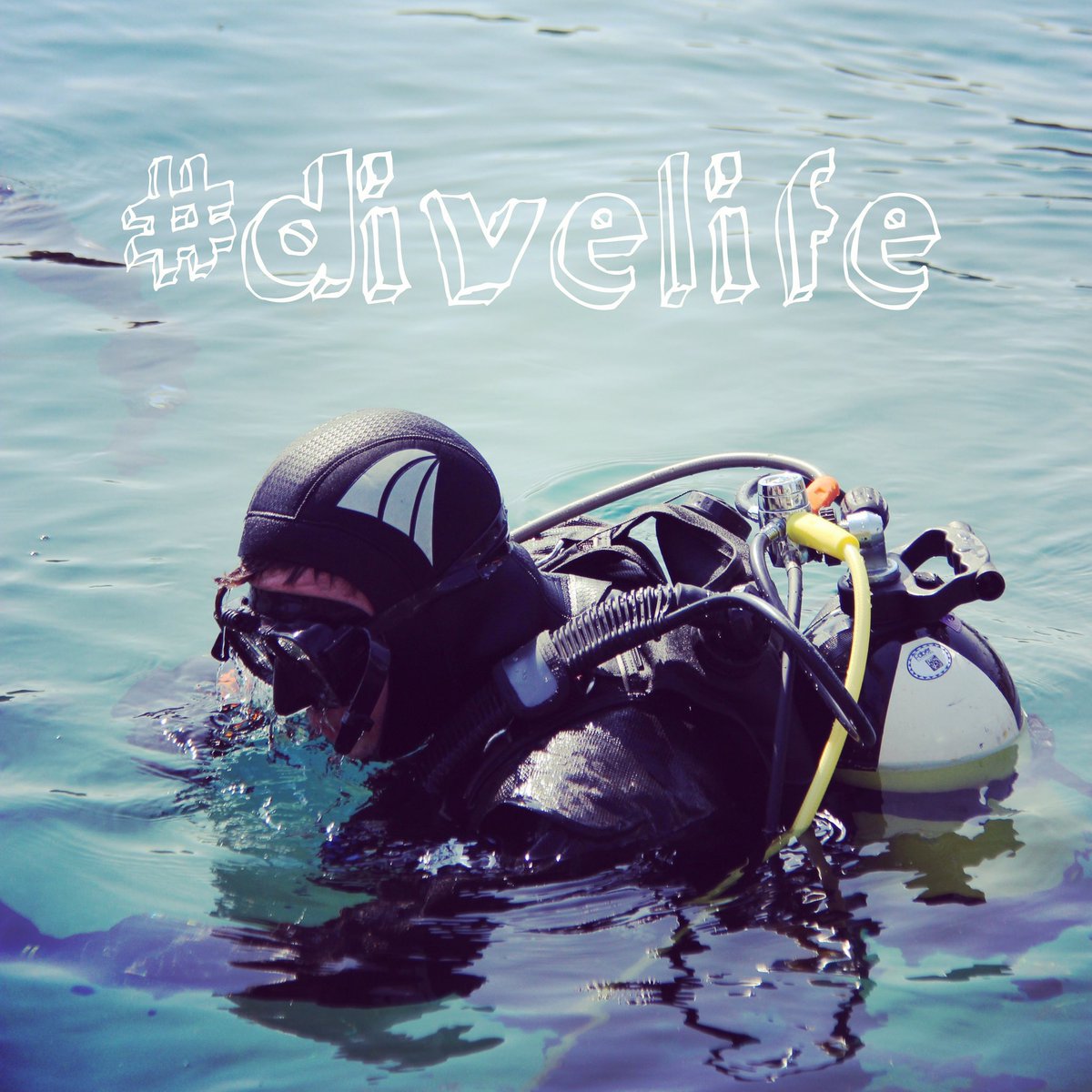 Where are you diving this weekend? 

#divelife #scubadiving #scuba #scubadive #ocean #watersports #diver #underwaterworld #seaworld #dive #scubalife #divedestination