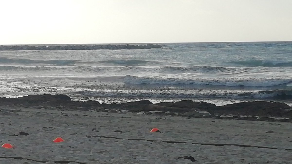meser73's tweet photo. Es una pena que playa #forun @MaraLezama @CarlosJoaquin @SEMARNAT_mx en #cancun este tan descuidada llena de basura, camastros a la orilla del mar @VivoEnCancun @markankun @SIPSENOTICIAS @TelevisaQro https://t.co/TJ8kiIr6bE