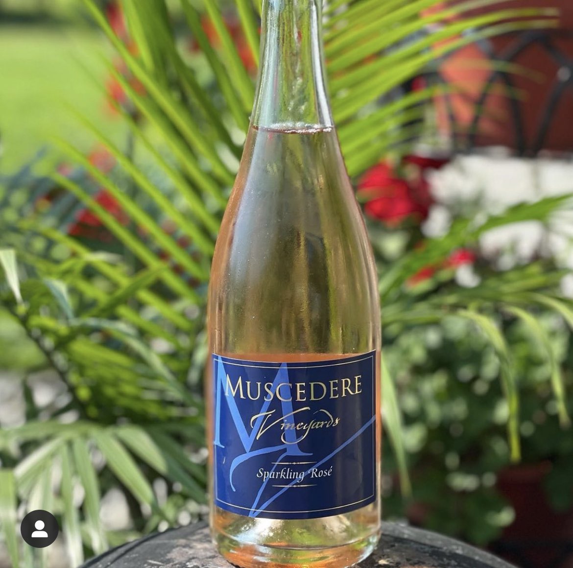 Our newest wine is now available! Sparkling Rosé! Available at the winery and online at shop.muscederevineyards.com/category/wine