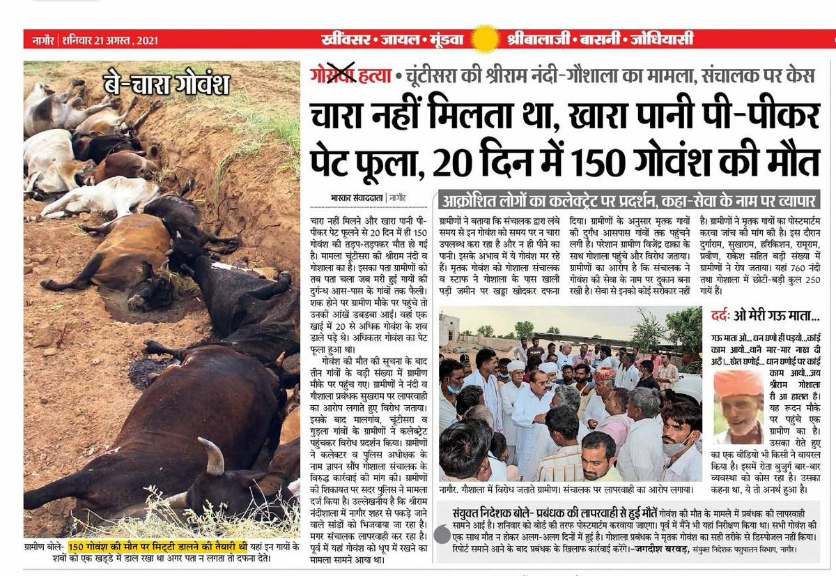 नागौर की नन्दी गौशाला में गौवंश का बूरा हाल, भूखी प्यासी मर रही है।
सरकारी अनुदान, भामाशाहों का सहयोग, फिर पैसा कहां जा रहा है? 
गौवंश बैमौत मर रही है, क्योंकी जिम्मेदार अधिकारी समय पर गौशालाओं का निरीक्षण नहीं करते। 
<a href="/ashokgehlot51/">Ashok Gehlot</a> <a href="/8PMnoCM/">राजस्थानी ट्वीट</a> <a href="/Jksoniias/">Dr. Jitendra Kumar Soni</a> <a href="/KatariaLalchand/">Lalchand Kataria</a> <a href="/PetaIndia/">PETA India</a>