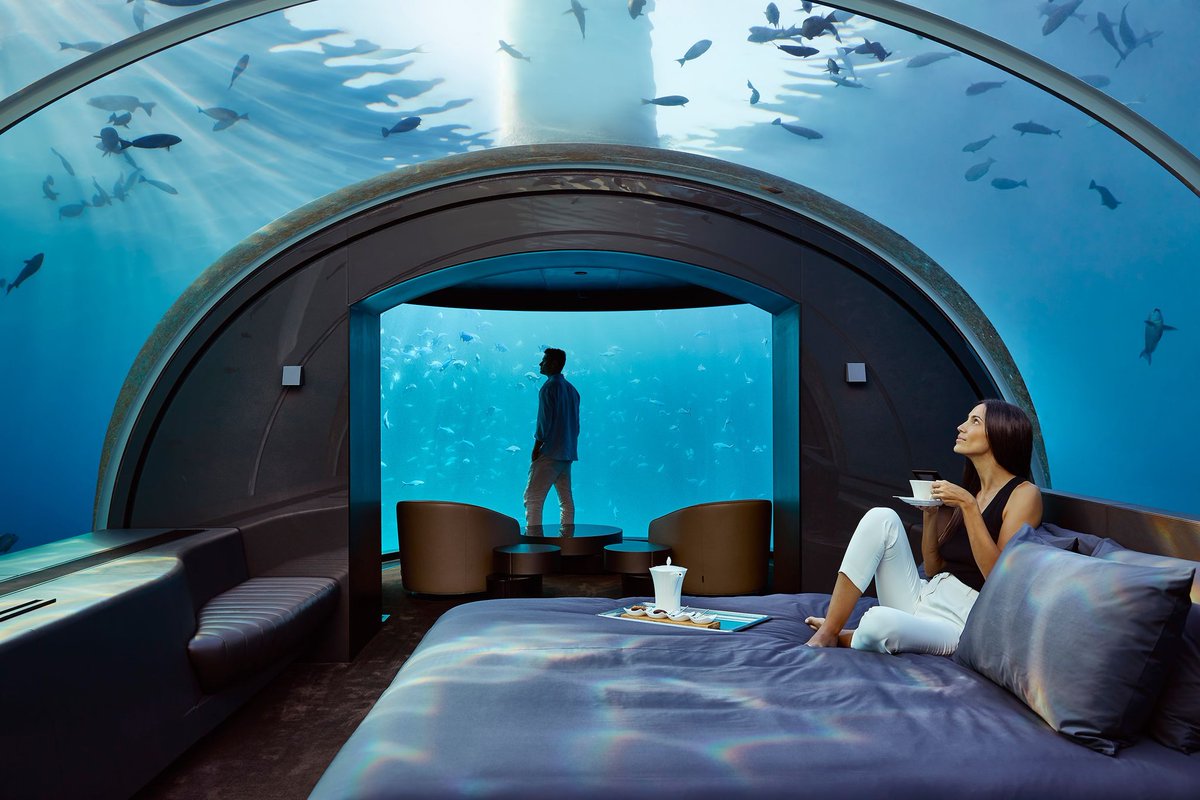 Stilloo3's tweet photo. 🌊We've all heard of vacations on land or on water, but have you tried an underwater hotel?

~ https://t.co/F7a2XlZZkN ~ 

#underwater #unique #simple #nature #travel #glamping #travelbug #travelholic #travelawesome #travelpics #travellife #traveldiaries #travelphoto https://t.co/Bkd3YHk6DP