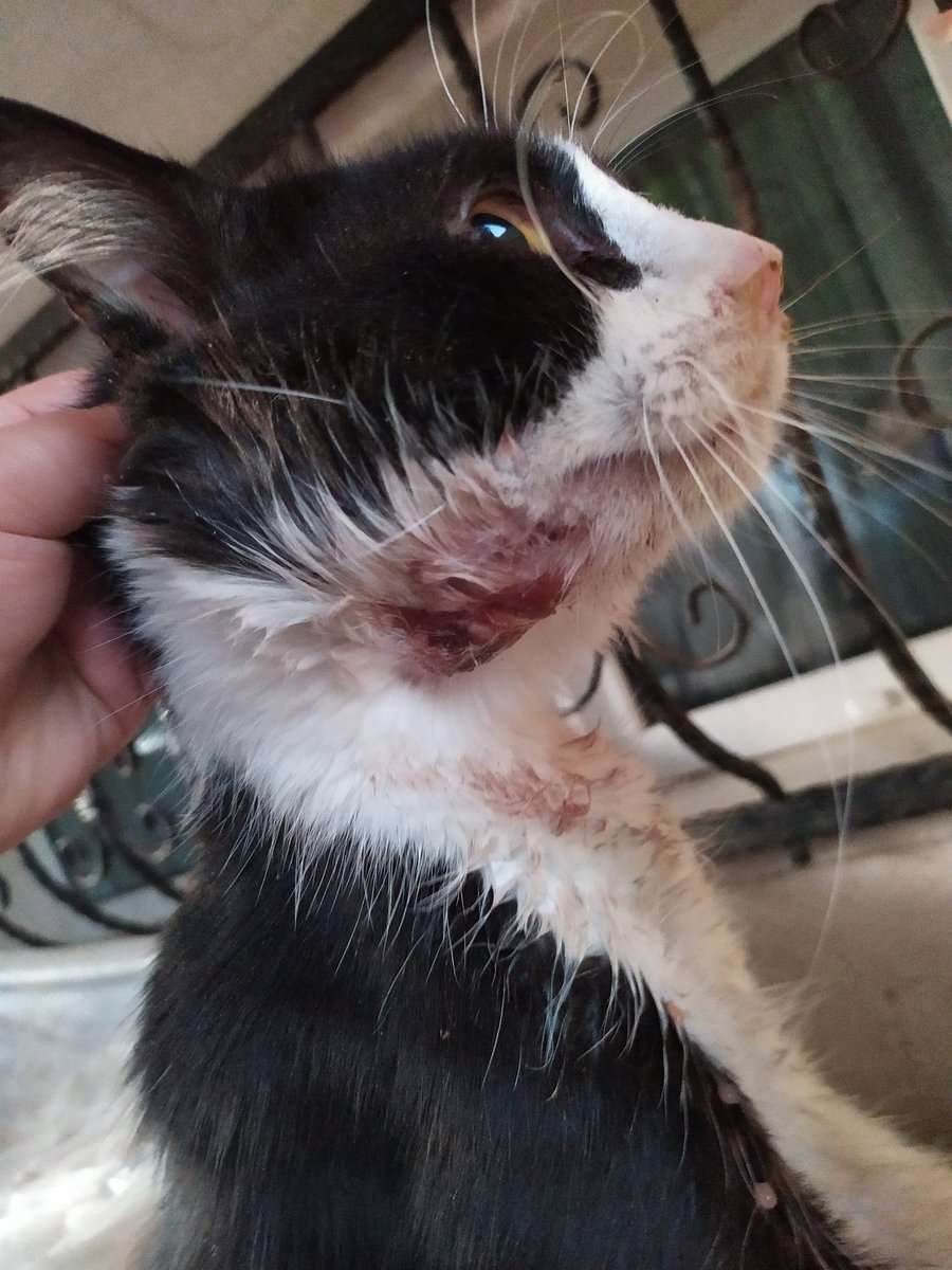 Apseli çocuğa 30 TL destek geldi.570 TL borcumuz bulunuyor.Lütfen bu çocuğun klinik borcuna destek olur musunuz? Klinik iletişim bilgileri ve ibani verilecektir.

Destek olamiyorsaniz da rtleyerek bize yardımcı olacak insanlara ulasmamiza yardim eder misiniz?