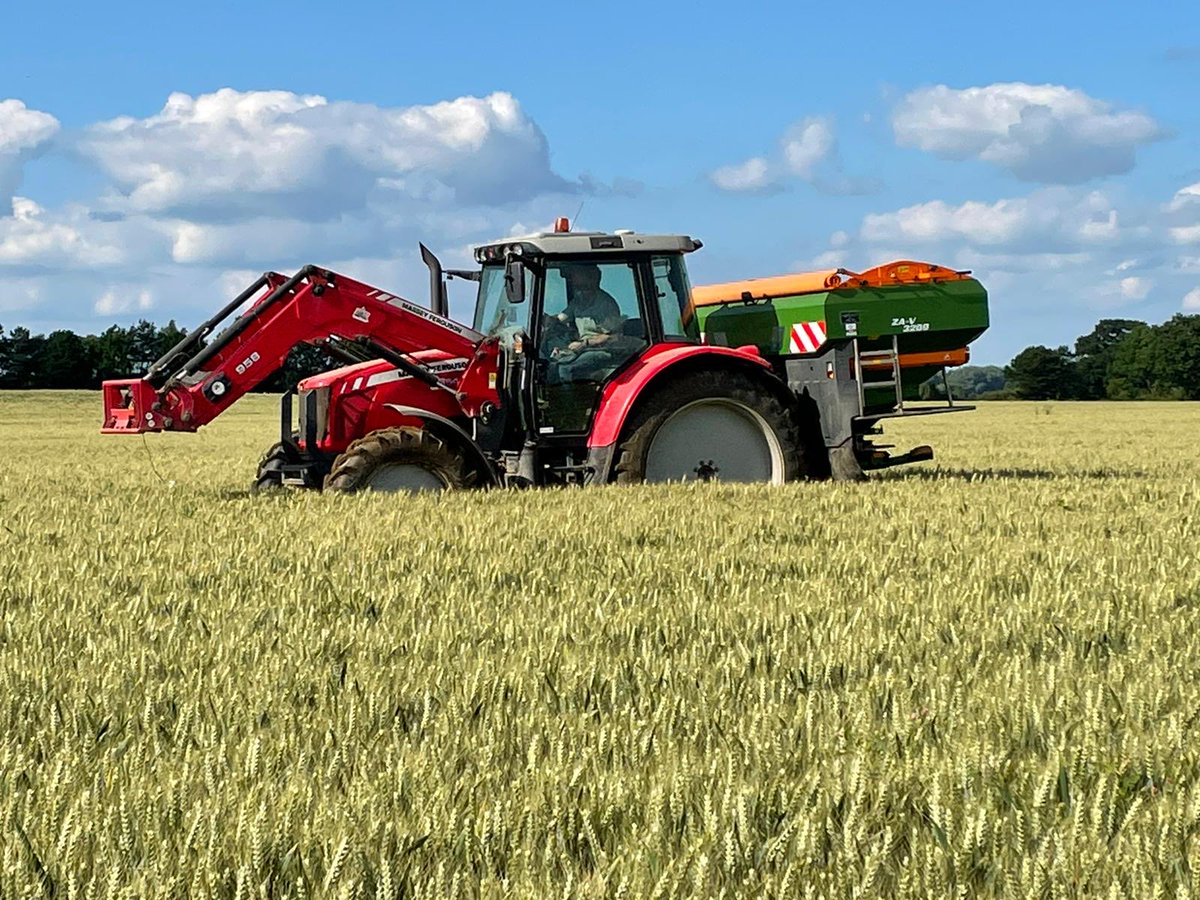 SustEnvFarming's tweet photo. I think this might start to become a thing
#oilradish one month on from in crop spinning
#choppedstraw #catchcrop #carbon @SustainableLsps #Pledge2040 https://t.co/c48z5NNtN3
