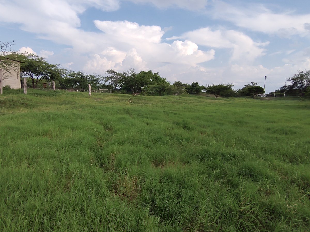 marshaljual's tweet photo. A todos los beneficiarios del proyecto les instalaron un poste cercano a la vivienda, no entiendo porqué en mi caso no fue así, el ing. me informó que fue orden de interventoría, que manifestaron que uno era suficiente. Por fa @Gobatlantico ayuda para que instalen el otro poste. https://t.co/xMOQIOafqF