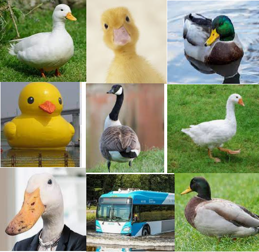 FasteddyAxie's tweet photo. These captcha's are getting out of hand. https://t.co/WFEMiGXXvZ