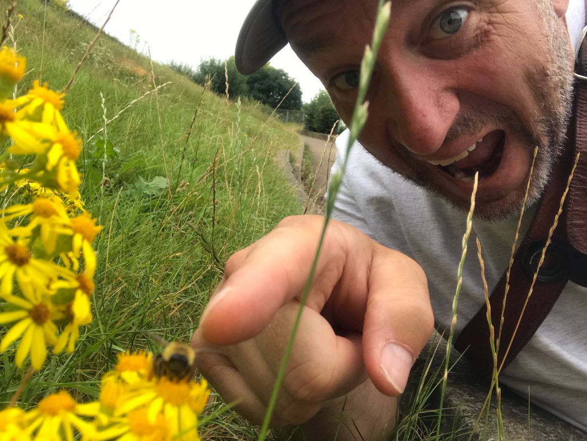 Nature never ceases to amaze me!  
A Shoeburyness underpass, a fantastic newly discovered invertebrate site. I’ve never seen so many Dasypoda hirtipes (Pantaloon Bee) with Andrena pilipes (Black mining bee) also present. 
Truely made my day! @EssexWildlife  #actionforinsects