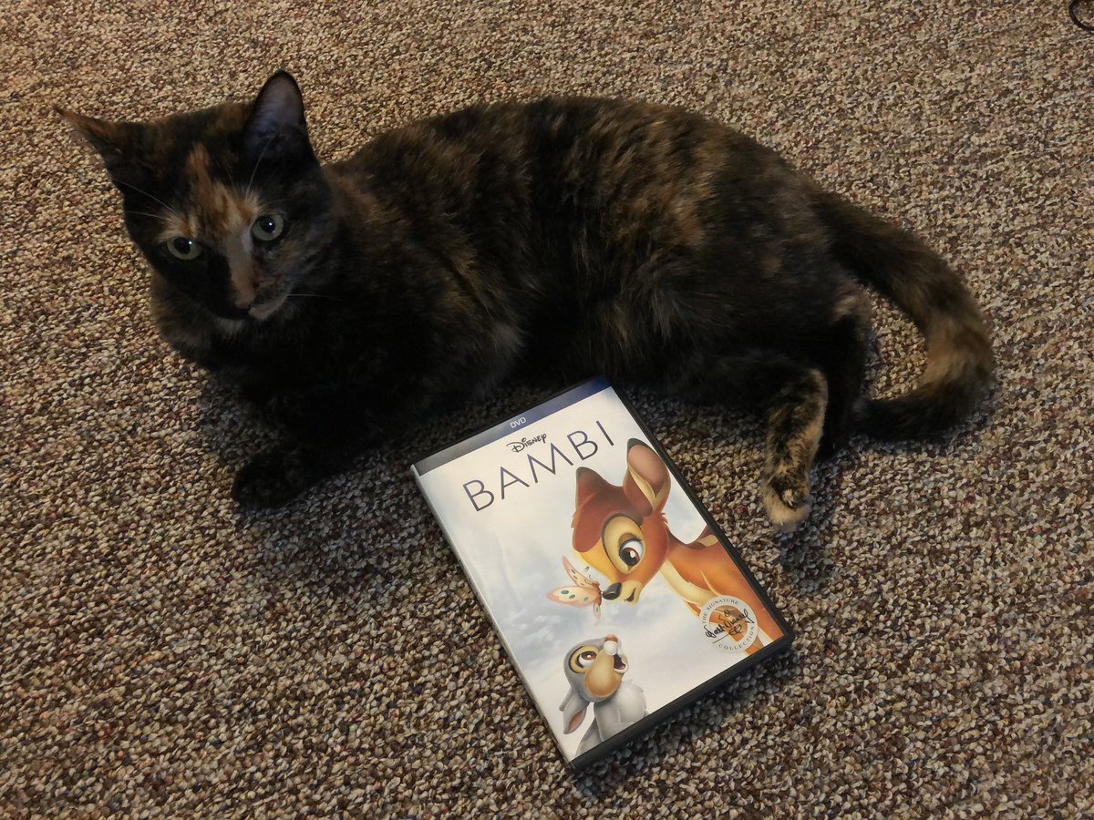 LMULibraries's tweet photo. "Today in 1942, the movie 'Bambi' was released. I watched it with my humans. I think it needs more cats." #CVLLibrary #LMU #Caturday https://t.co/S7SSfml6eW