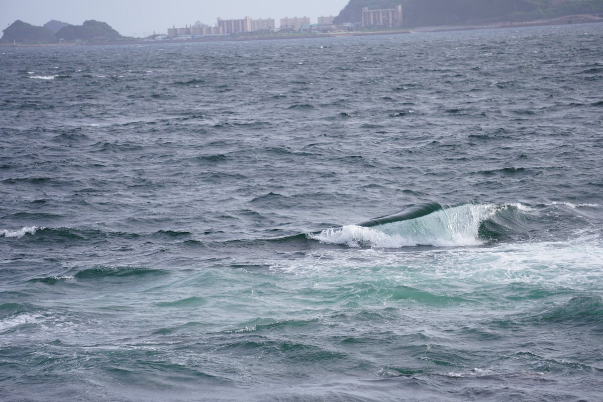 ヒカル もう少し大きい波を撮りたいなぁ サーフィンまではいかなくても 綺麗な波