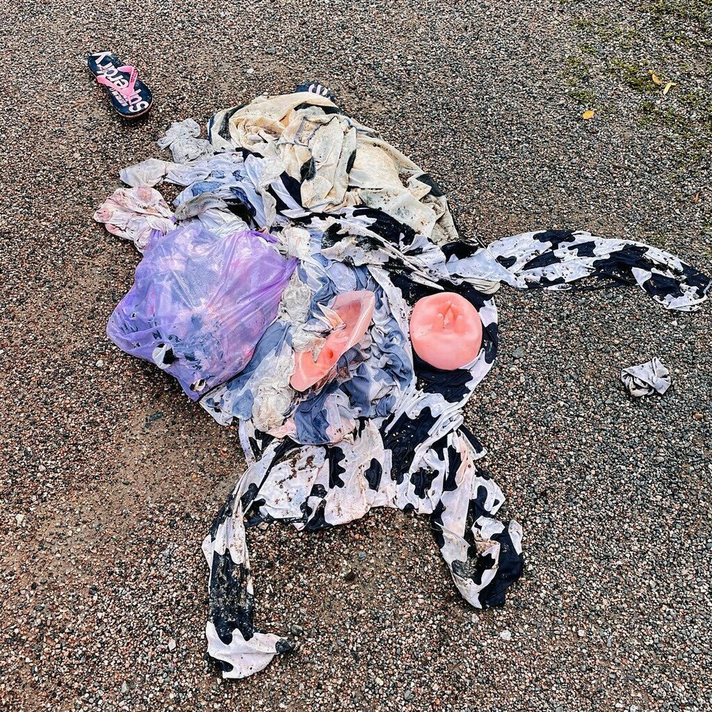 Poor cow #trash #litter #stupidbehaviour #helsinki #finland https://t.co/ThT2yplamX #instagram https://t.co/VRLQSyuReD