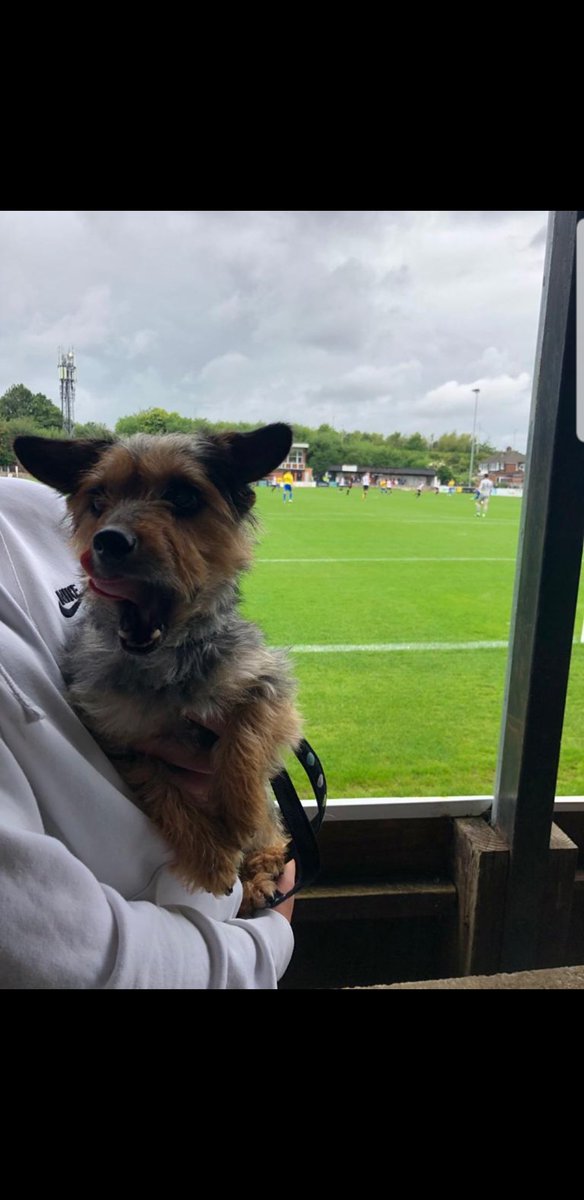 Lucas Boardman tweet media