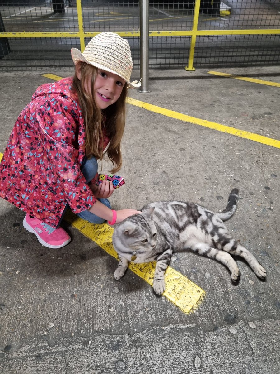 Sh1b's tweet photo. D met the lovely @DexterWindsor for the first time today #dexspot https://t.co/FrVVMHWNfr