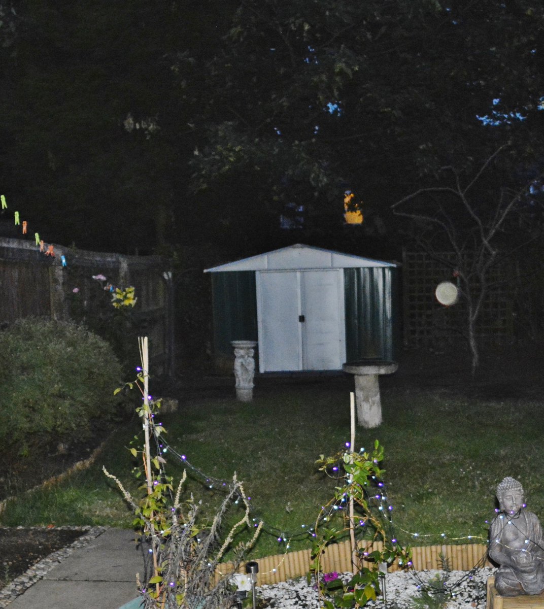 marie_kayali's tweet image. WHITE ORB IN THE GARDEN #ORB #SPHERE #UNKNOWNOBJECT