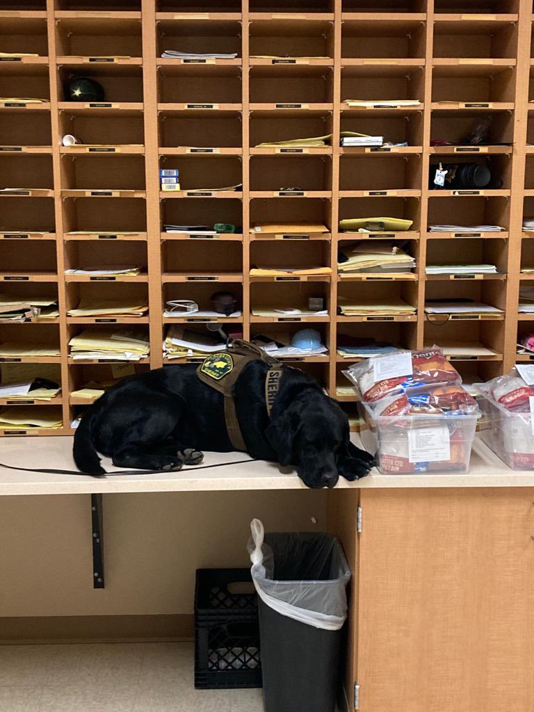 Placer Sheriff tweet media