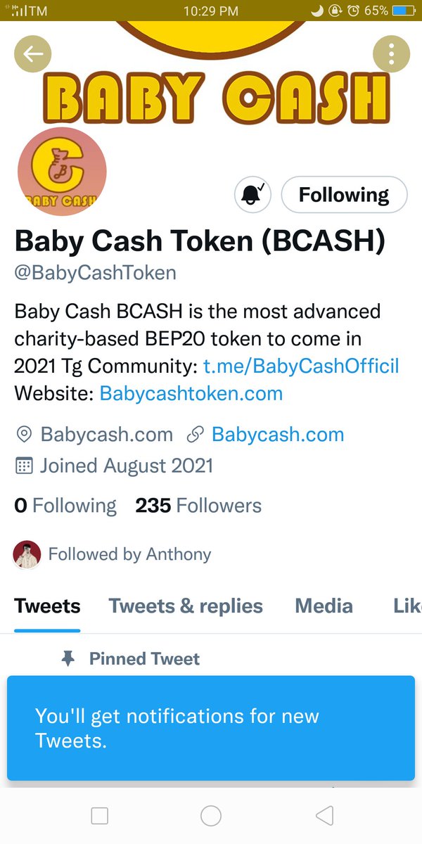 Hannyl16's tweet photo. @CryptoBarnuts @BabyCashToken b https://t.co/X3dfHbVySQ