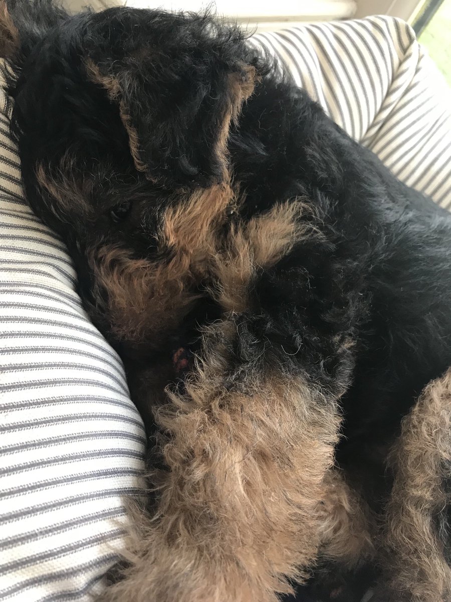 Sadly Dustin can’t attend BG3 on 10th/11th September but my dear sister in law is hopefully attending and looking forward to meeting y’all!