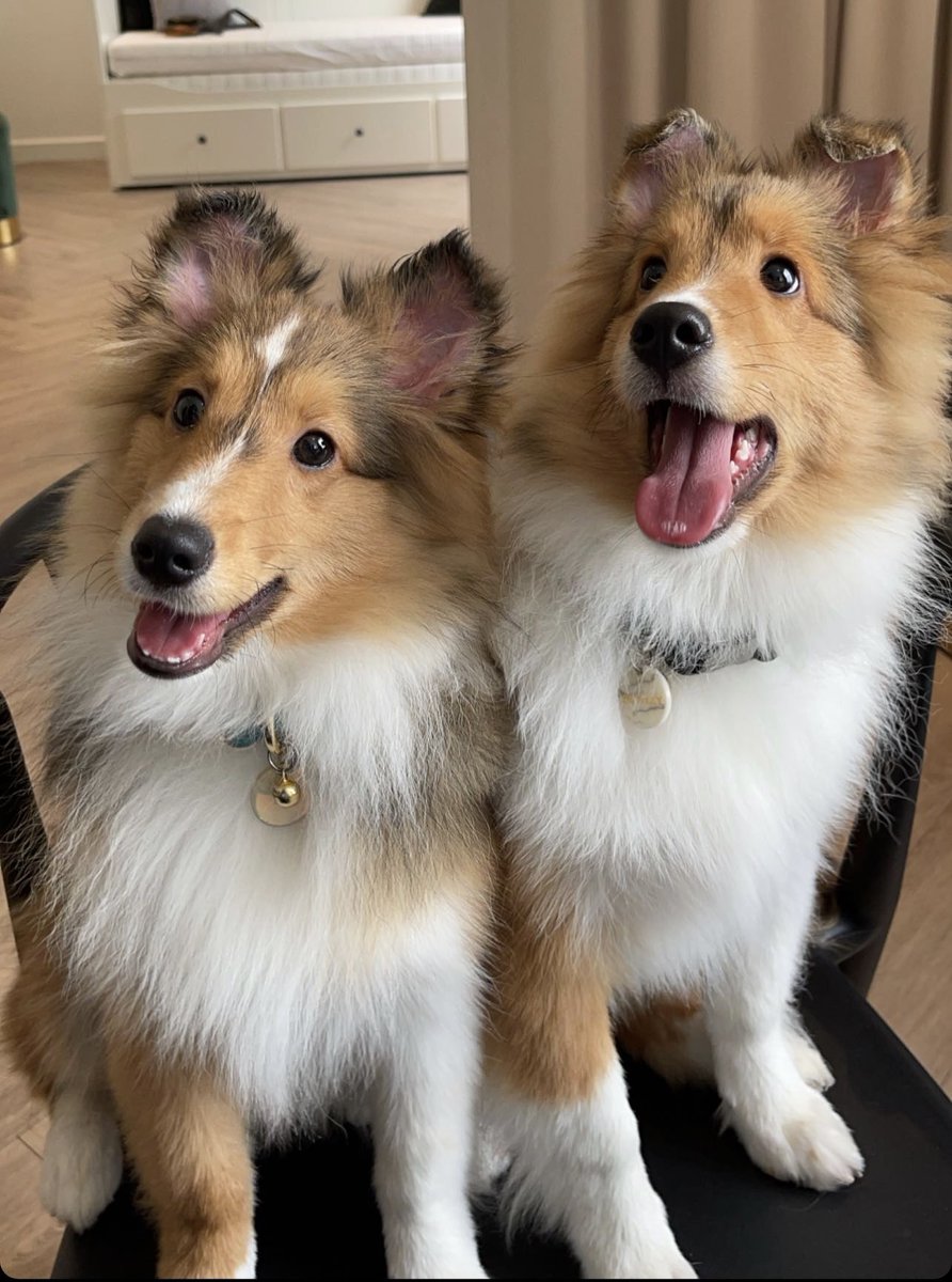 allbright_ofc's tweet image. อาเม่ะ : ฉันก็รักของฉัน เข้าใจบ้างไหม
ฉันมีสิทธิ์จะรักไม่ผิดใช่ไหม
เธอก็น่าจะรู้มันเจ็บเพียงใด
เหมือนโดนกรีดหัวใจ ถ้าเธอแย่งไปครอง

เบนท์ลีย์, คาร์เทียร์ : ฉันก็รักของฉัน เข้าใจบ้างไหม เธอมีสิทธิ์อะไรมาบอกให้ทำใจ
ฉันก็รัก จนจะเป็นจนจะตาย
เธอไม่ต้อง เธอไม่ต้อง มาทำลายความรักเรา