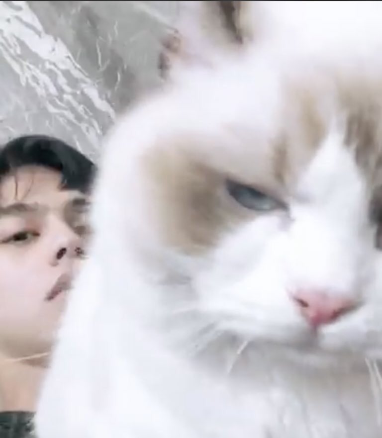 allbright_ofc's tweet image. อาเม่ะ : ฉันก็รักของฉัน เข้าใจบ้างไหม
ฉันมีสิทธิ์จะรักไม่ผิดใช่ไหม
เธอก็น่าจะรู้มันเจ็บเพียงใด
เหมือนโดนกรีดหัวใจ ถ้าเธอแย่งไปครอง

เบนท์ลีย์, คาร์เทียร์ : ฉันก็รักของฉัน เข้าใจบ้างไหม เธอมีสิทธิ์อะไรมาบอกให้ทำใจ
ฉันก็รัก จนจะเป็นจนจะตาย
เธอไม่ต้อง เธอไม่ต้อง มาทำลายความรักเรา